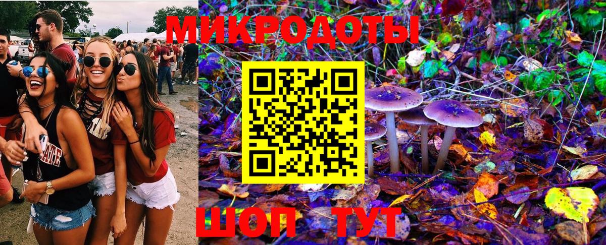 Южноуральск  Псилоцибиновые грибы мицелий  Вход с VPN 